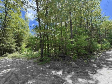 Gregg Lake Acreage For Sale in Antrim New Hampshire