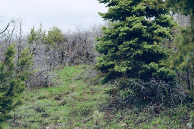 (private lake, pond, creek) Lot For Sale in Mt Pleasant Utah