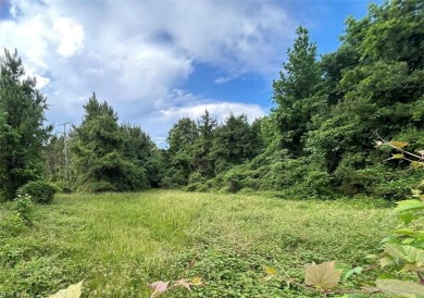 Lake Acreage For Sale in Chesapeake, Virginia