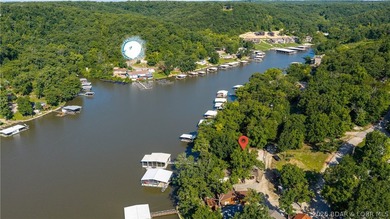 Lakefront living with a gentle walk to the water, deep water - photo 33