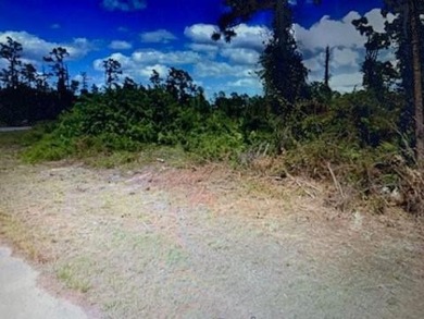 Lehigh Acres Area Lot For Sale in Lehigh Acres Florida