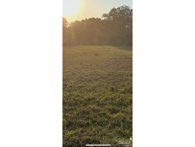 Build your dream home on this beautiful 2 acre cleared property - photo 1