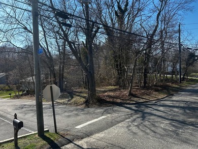 This prime residential-zoned vacant parcel offers endless - photo 1