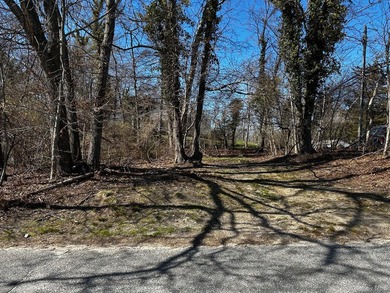 This prime residential-zoned vacant parcel offers endless - photo 2