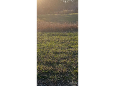 Build your dream home on this beautiful three acre cleared - photo 3