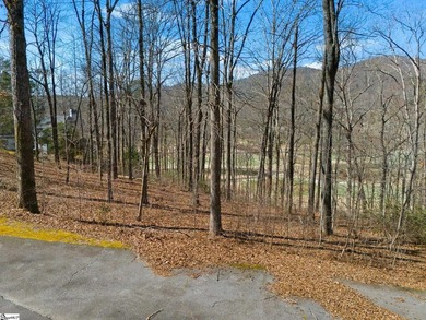 Beautiful wooded lot that backs up to Hole #16 at Cliffs Valley - photo 1