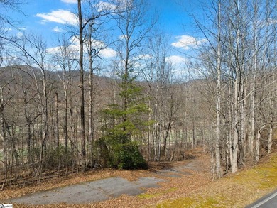 Beautiful wooded lot that backs up to Hole #16 at Cliffs Valley - photo 2