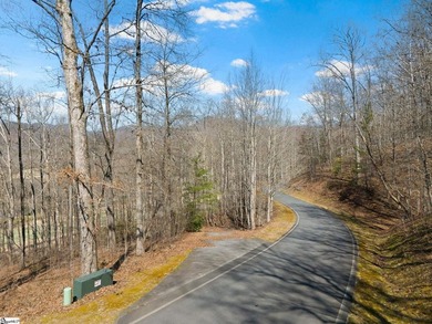 Beautiful wooded lot that backs up to Hole #16 at Cliffs Valley - photo 3