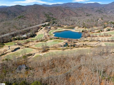Beautiful wooded lot that backs up to Hole #16 at Cliffs Valley - photo 8
