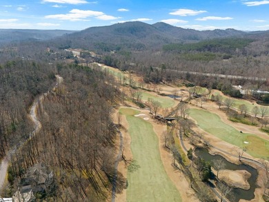 Beautiful wooded lot that backs up to Hole #16 at Cliffs Valley - photo 9
