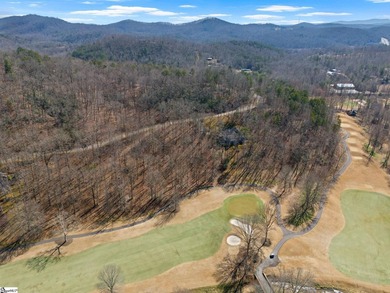 Beautiful wooded lot that backs up to Hole #16 at Cliffs Valley - photo 10