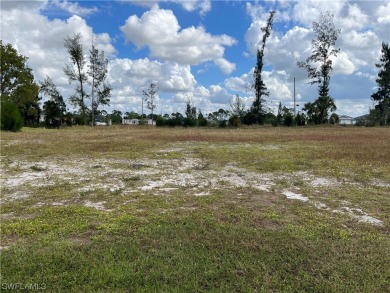 Wonderful Fresh water lot in an area of newer homes in North - photo 4
