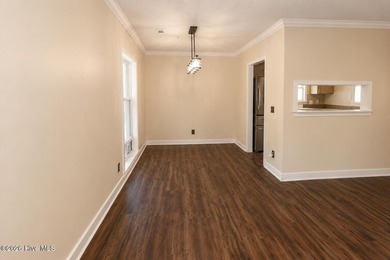Ultimate Wilmington Freedom: Single-Level Living on 0.45 Acres - photo 5
