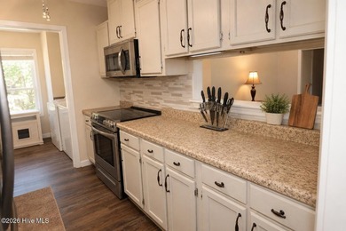 Ultimate Wilmington Freedom: Single-Level Living on 0.45 Acres - photo 10