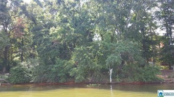 Awesome main channel waterfront lot in River Oaks! - Lake Acreage For Sale in Cropwell, Alabama