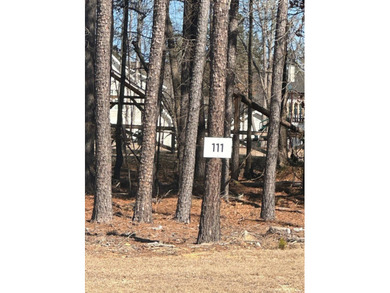 Stewart Landing offers beautiful lake views, low country - photo 2