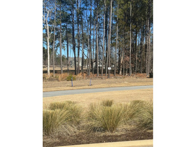 Stewart Landing offers beautiful lake views, low country - photo 3