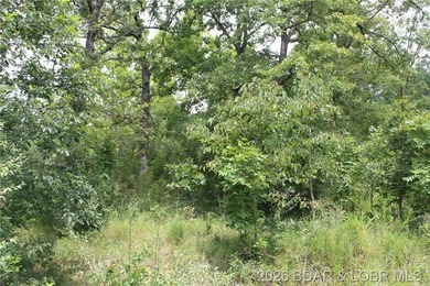 Discover the perfect blend of privacy, convenience, and natural - photo 5
