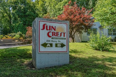 Welcome to 250 Berry Drive #7 in beautiful Branson, located in - photo 21