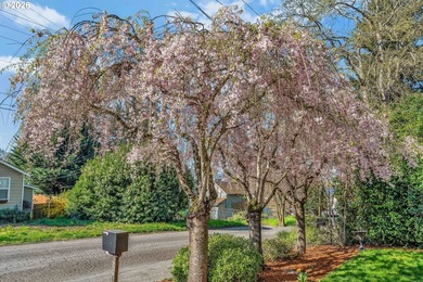 This super charming two-level home offers the perfect blend of - photo 36