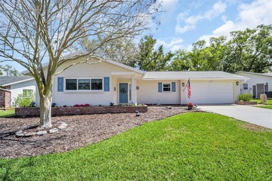 Lake Tarpon Home For Sale in Palm Harbor Florida