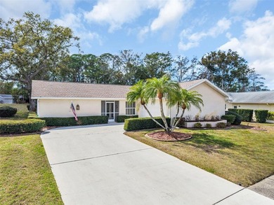 Lake Tarpon Home For Sale in Palm Harbor Florida