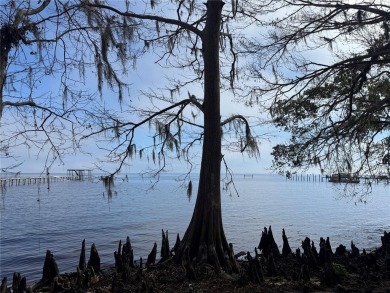 Lake Lot For Sale in Fort Mccoy, Florida