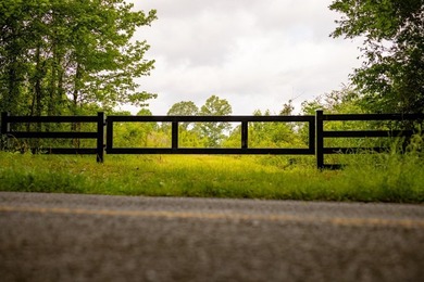 Hunting land for sale in Claiborne County, Mississippi. This - photo 12