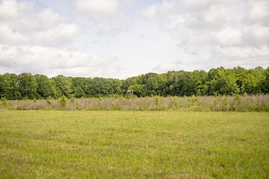 Hunting land for sale in Claiborne County, Mississippi. This - photo 22