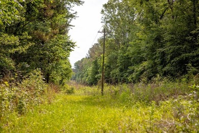 Hunting land for sale in Claiborne County, Mississippi. This - photo 25