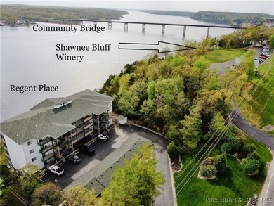 Spectacular views, incredible location, move-in ready, updated - photo 2