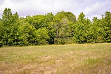 Hunting land for sale in Claiborne County, Mississippi. This - photo 32