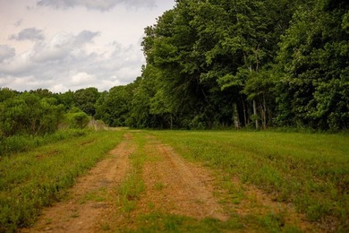 Hunting land for sale in Claiborne County, Mississippi. This - photo 40