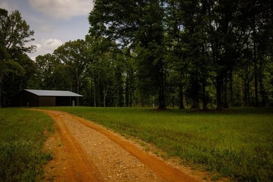 Hunting land for sale in Claiborne County, Mississippi. This - photo 42
