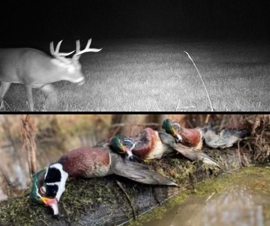 Hunting land for sale in Claiborne County, Mississippi. This - photo 45