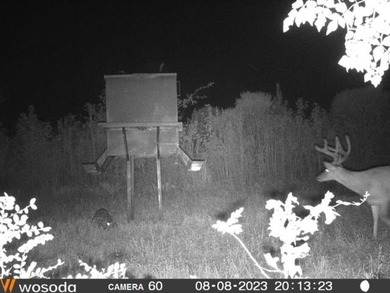 Hunting land for sale in Claiborne County, Mississippi. This - photo 50