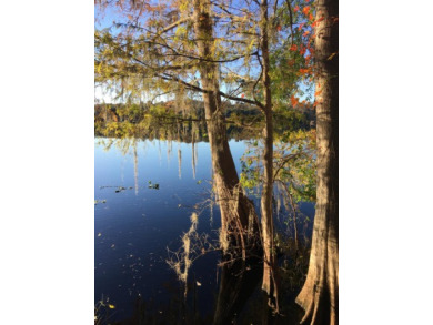 Suwannee River - Hamilton County Lot For Sale in Chiefland Florida