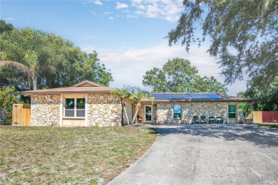 Lake Dora Home For Sale in Mount Dora Florida