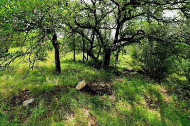 Tucked away on a quiet cul-de-sac in the heart of Horseshoe Bay - photo 20