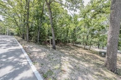 RARE OPPORTUNITY - The last remaining lot in the desirable - photo 6