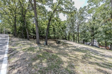 RARE OPPORTUNITY - The last remaining lot in the desirable - photo 7