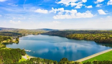 Lake Lot For Sale in Waleska, Georgia