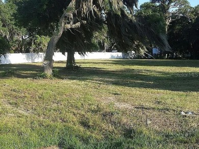 Lake Okahumpka  Acreage For Sale in Wildwood Florida
