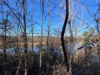 LL235 - Lake Lot For Sale in Wedowee, Alabama