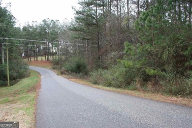 Lake Acreage For Sale in Elberton, Georgia