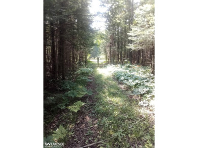 Lake Acreage For Sale in Gould City, Michigan