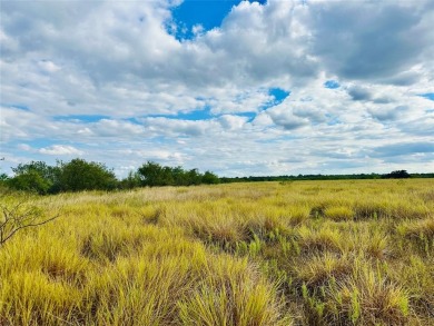(private lake, pond, creek) Acreage For Sale in Brownwood Texas
