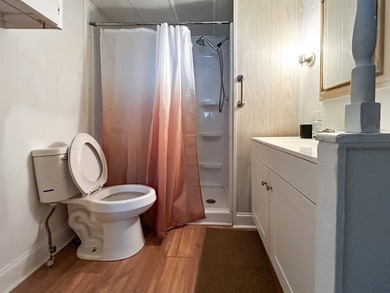 This steal of a home is move in ready and fully furnished - photo 7