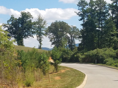 Gated Cherokee Lake Living with Mountain Views - photo 12