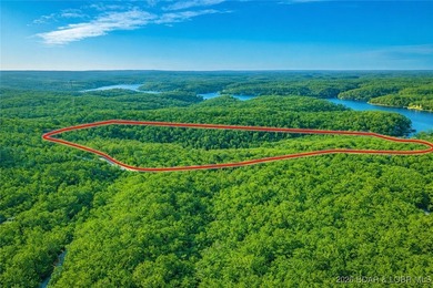 Nearly 50 acres of stunning Ozark beauty-this is your - photo 4